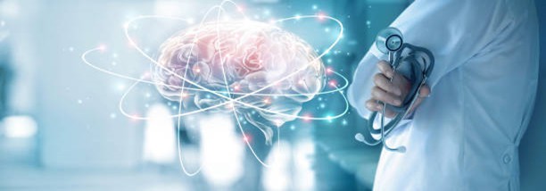 Brain Function Brain Function