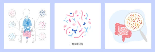 Probiotic Probiotic